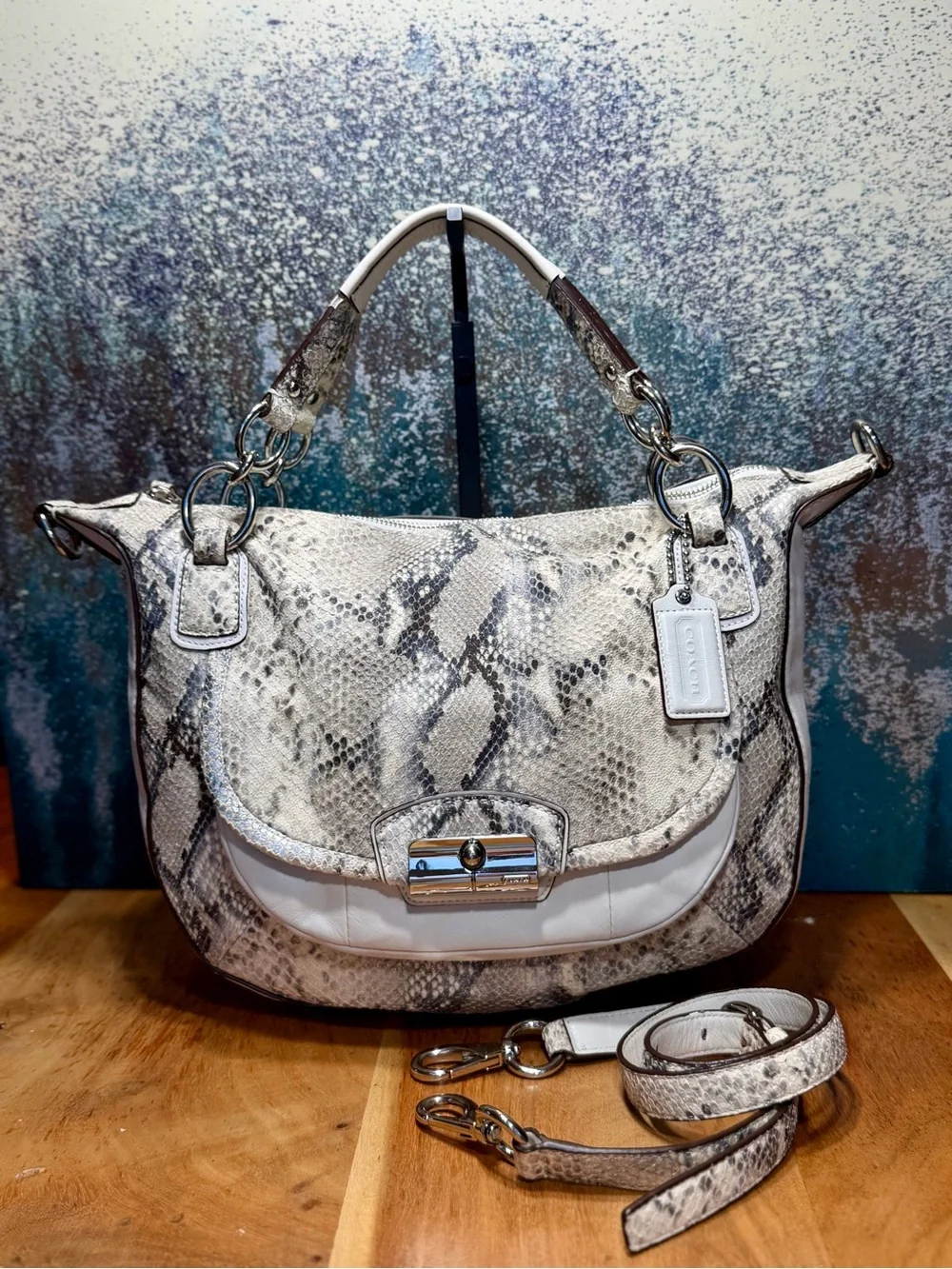 Coach Rare 2011 Kristin Python Embossed‎ Leather Convertible Hobo Bag EUC